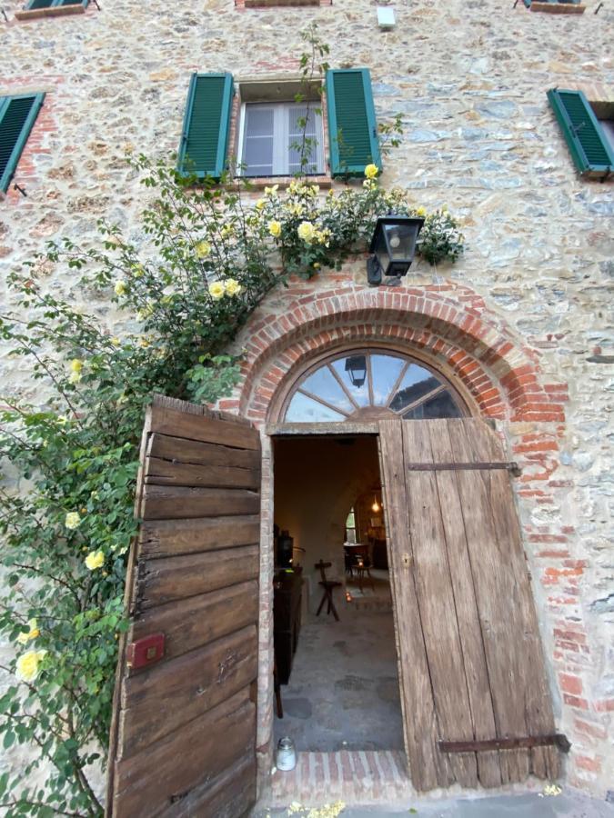 La Via Dell'oliviera *
