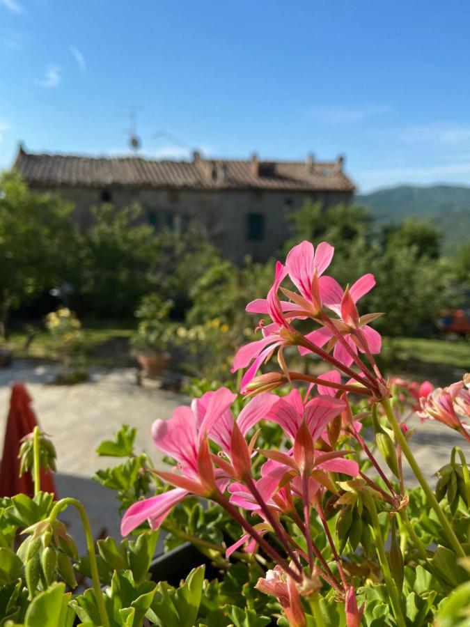 La Via Dell'oliviera Farm stay
